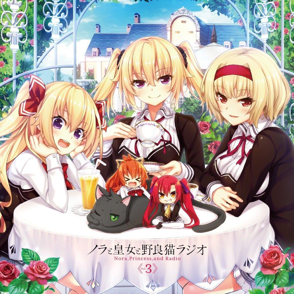 

Princess and Stray Cat Radio Nora, Vol.3