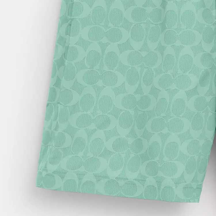 Coach Ss24 Logo Print Drawstring Straight Leg Beach Pants Men bottoms Green CO834-VSW