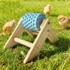 Piedra de Afilar Pico de Pollo Antideslizante Resistente al Desgaste Percha de Entrenamiento para Pollos Granja