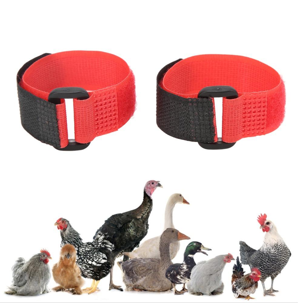 2pcs Durable Chicken Collar Nylon Chicken Neckband Practical Rooster Collar For Ducks & Geese
