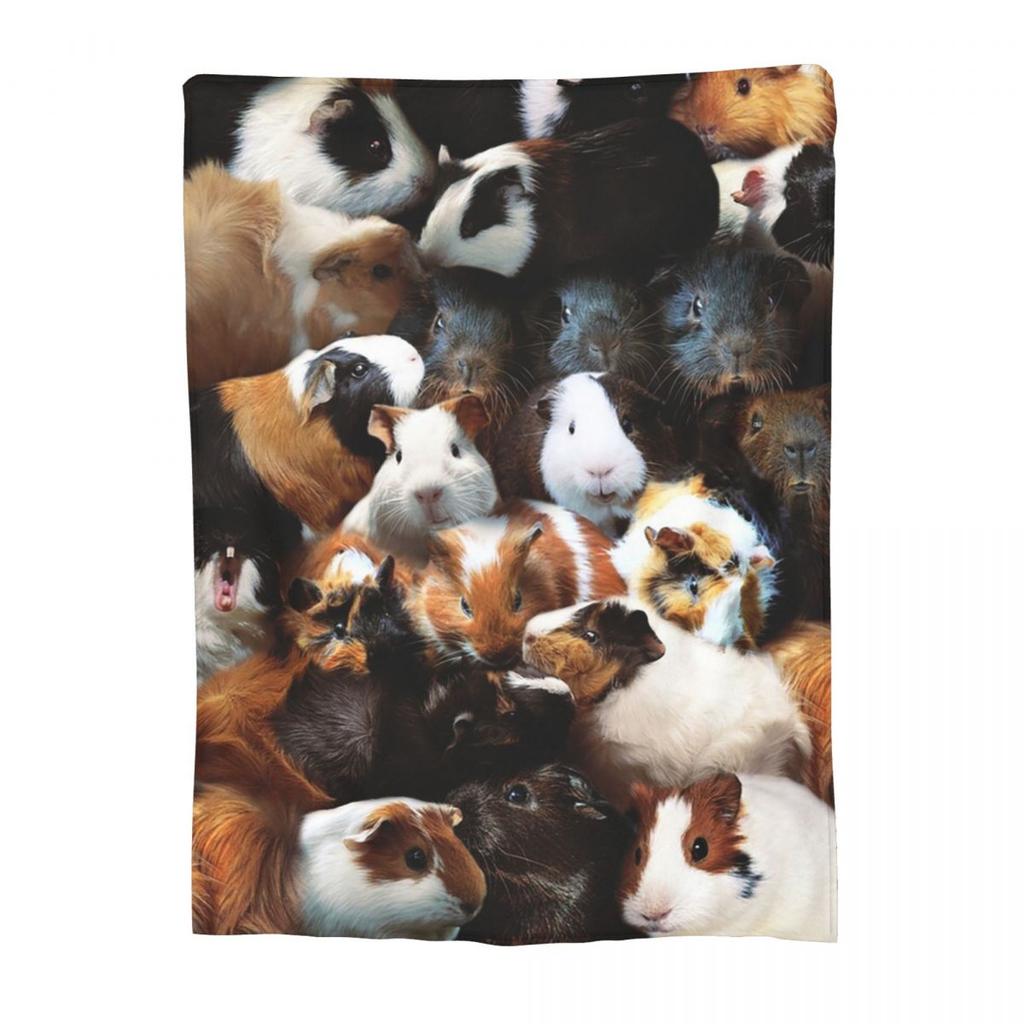 Guinea Pigs Blankets Soft Warm Flannel Throw Blanket Bedspread for Bed Travel Home Sofa