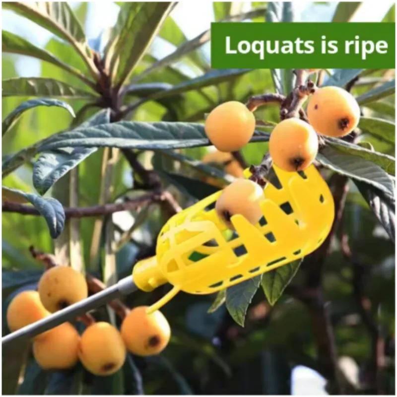 Dispositivo di Raccolta per Orto e Giardino Utensili da Giardino Cesto Profondo Testa Raccoglifrutta Comodo Raccoglitore di Frutta Raccolta di Mele Pesche