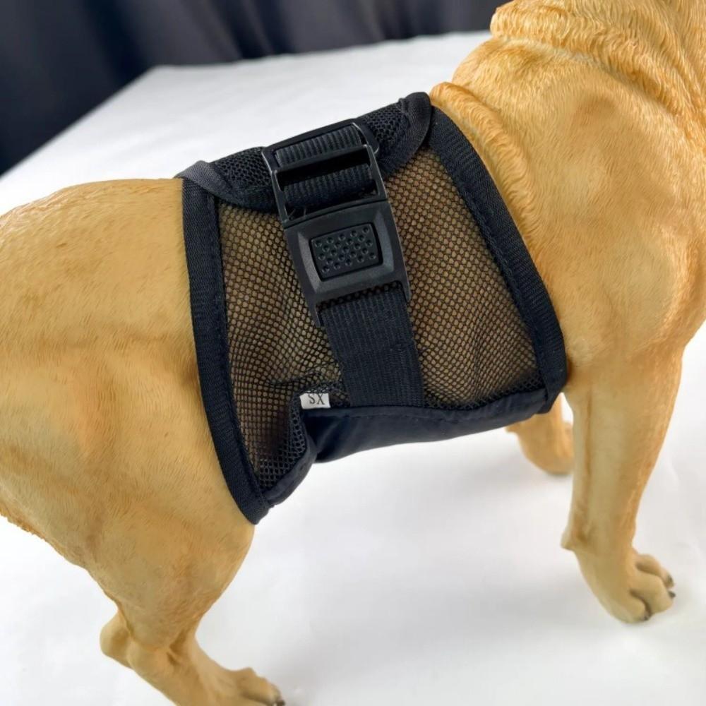 Breathable Mesh Dog Physiological Pants Washable Anti-Harassment Pet Underwear Reusable Dog Diapers All Seasons Use