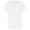 Awdis Childrens/Kids Just Ts The 100 T-Shirt