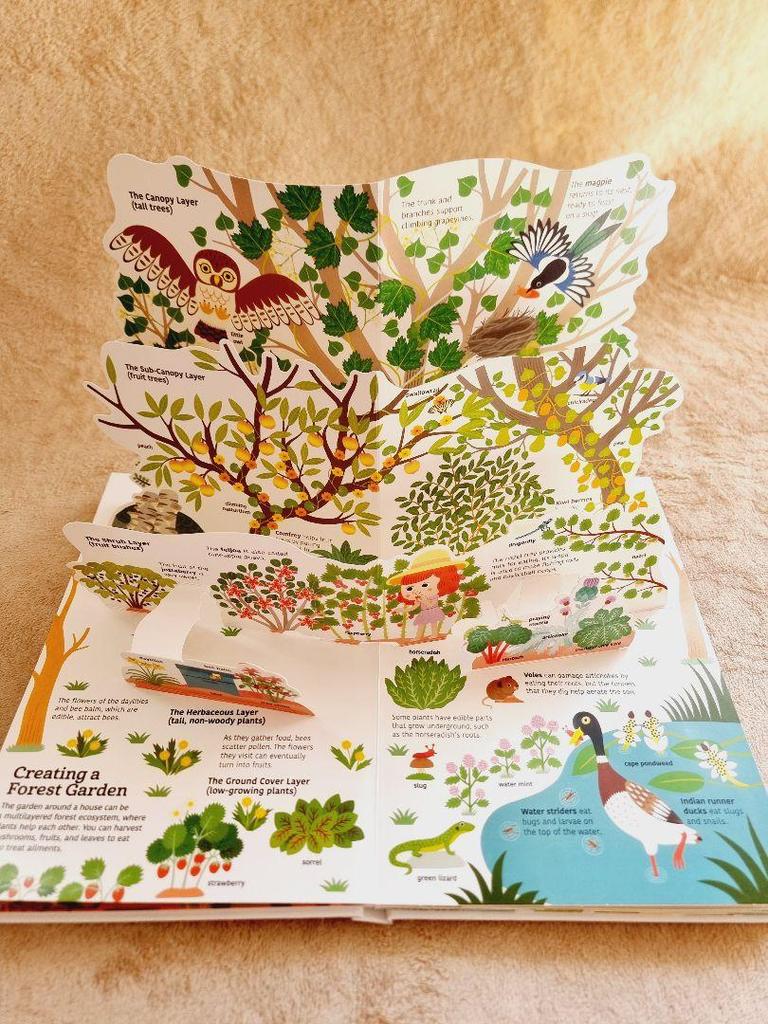 [USED] Ultimate Caring for Earth Pop-up Book
