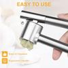 Garlic Press Mincer Stainless Steel Garlic Crusher for Kitchen, Detachable, Extended Edition 7inch, Rust Proof, Kitchen Gadgets