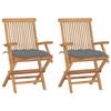 VidaXL Set of 2 Garden Chairs with Cushions, Patio Seats, Dining Chairs, Outdoor Patio Furniture, 3062503