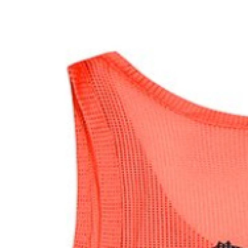 Puma Team Vest Bib Vest