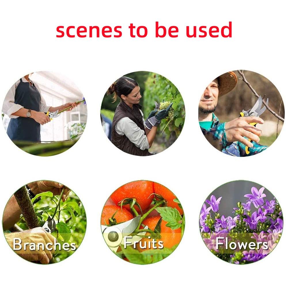 Pruner Garden Scissors Professional Sharp Bypass Pruning Shears Tree Trimmers Secateurs Hand Clippers For Garden Beak Scissors
