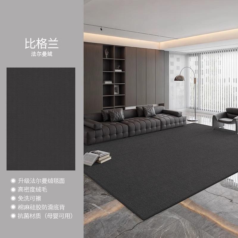 Large Living Room Carpet Washable Waterproof Minimalist Luxury Home Rug for Sofa Bedroom