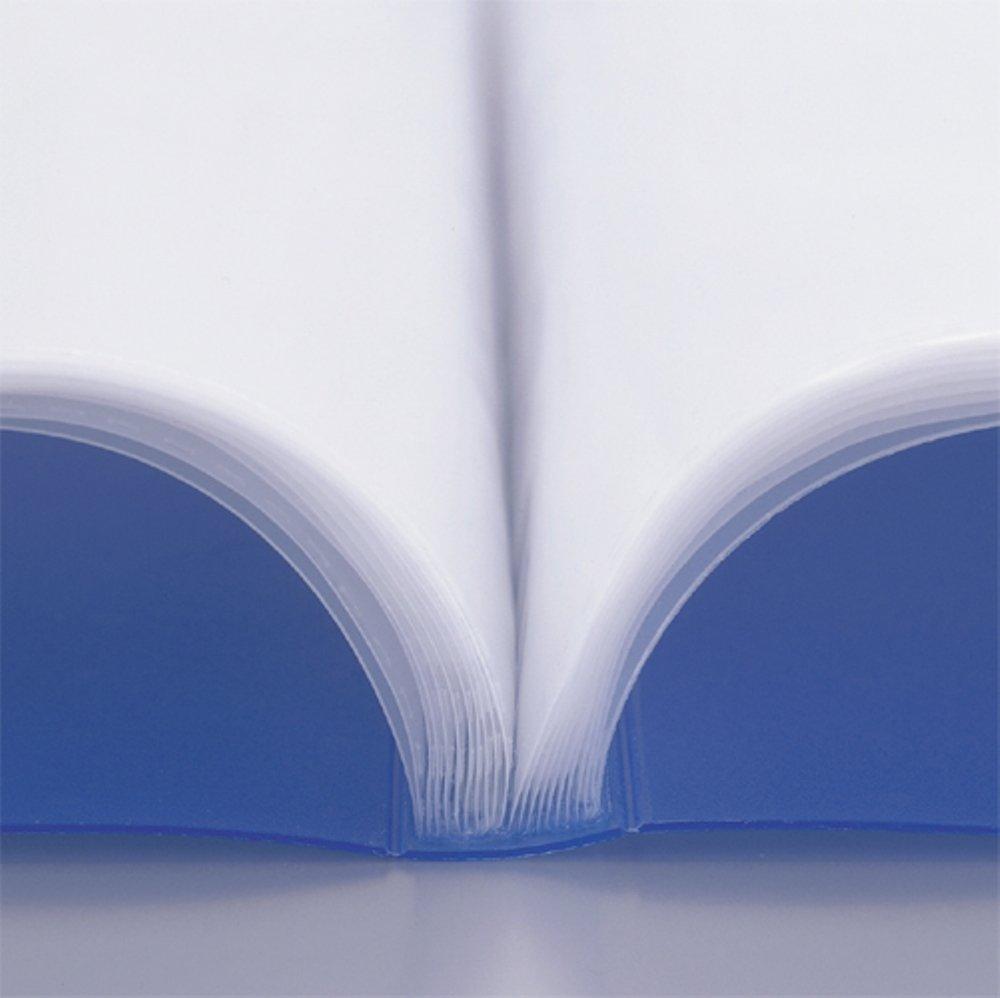 LIHIT LAB Clear File, 10-Pack, A4, 20 Pages, Milky White, N5000-1_10