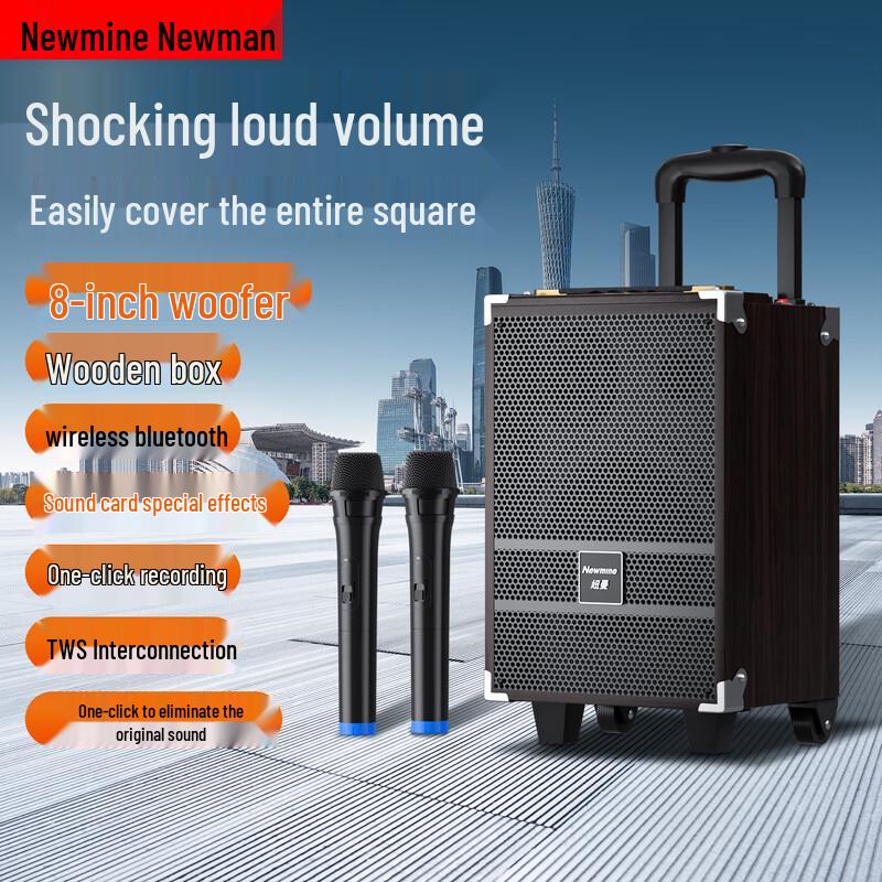 

Newman Portable Outdoor K-song Trolley Speaker CN plug (adapter included)