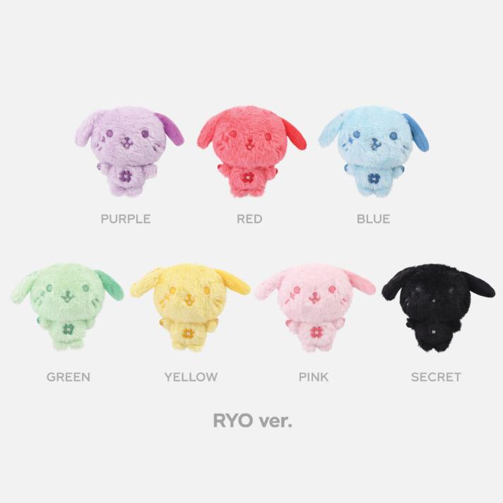 

Предзаказ 2025 NCT WISH POP-UP Найди свой цвет Случайный цвет Кукла-желание RYO