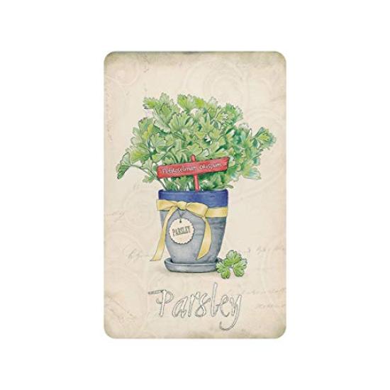 

Антикварные садовые товары Железная тарелка для кашпо Оловянные садовые принадлежности Узор из трав Трава (Петрушка)