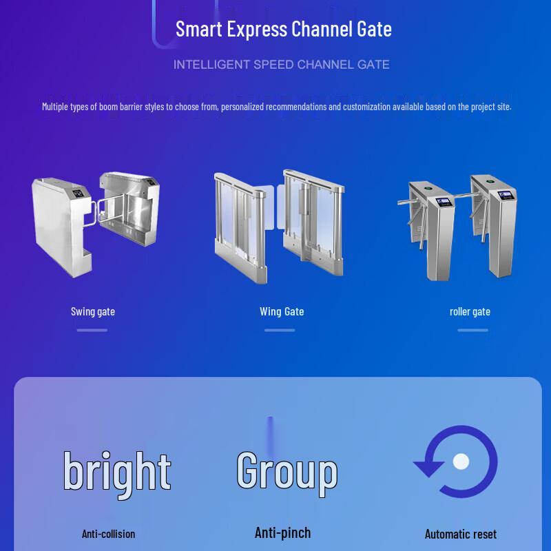 Desheng Smart Facial Recognition Turnstile Gate CN Plug (adapter Included)