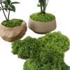 Artificial Bionic Moss for DIY Micro Landscape Bonsai and Lawn Ornaments