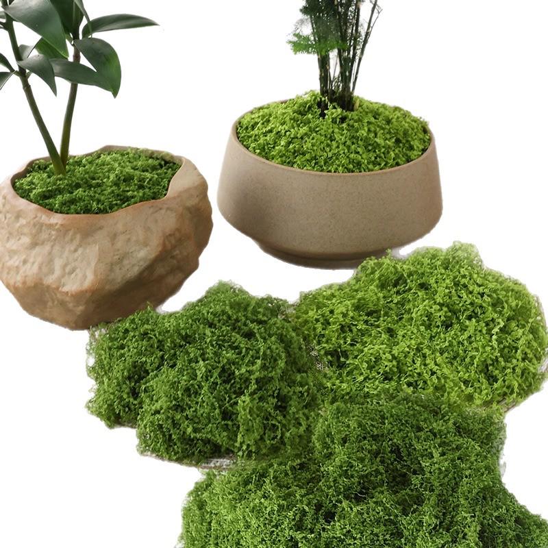 Artificial Bionic Moss for DIY Micro Landscape Bonsai and Lawn Ornaments