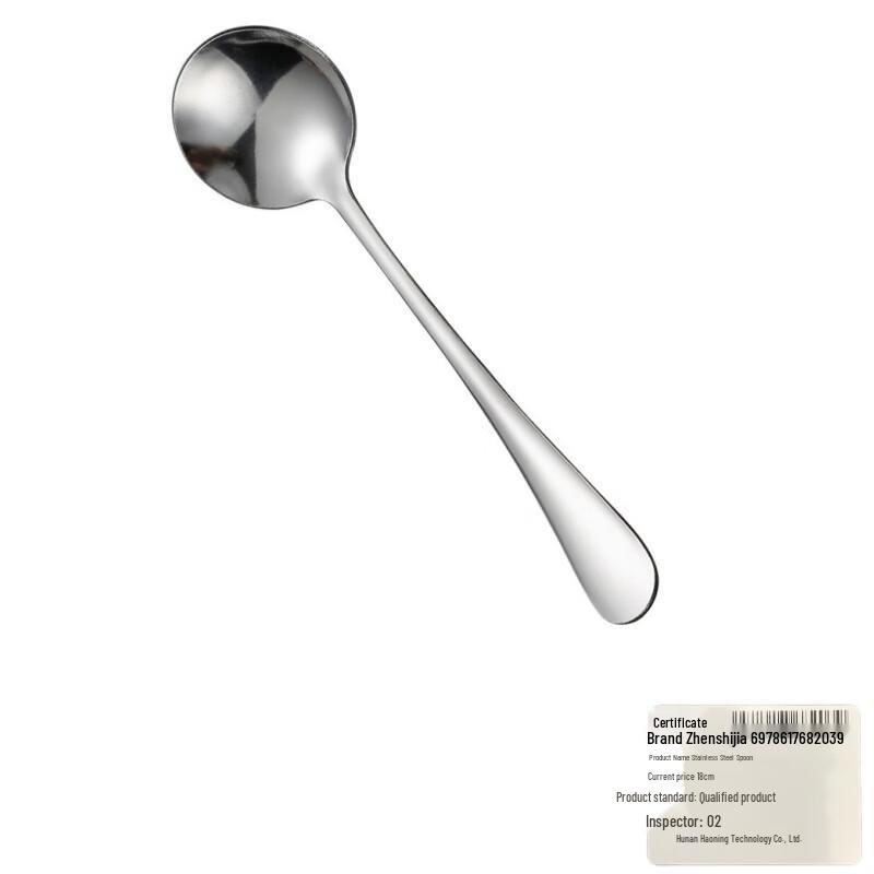 Stainless Steel Spoon