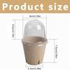 10Pcs Seedling Cup Seed Starter Transparent Lid Greenhouse Breeding Box Biodegradable Plant Growing Cup Versatile for Gardening