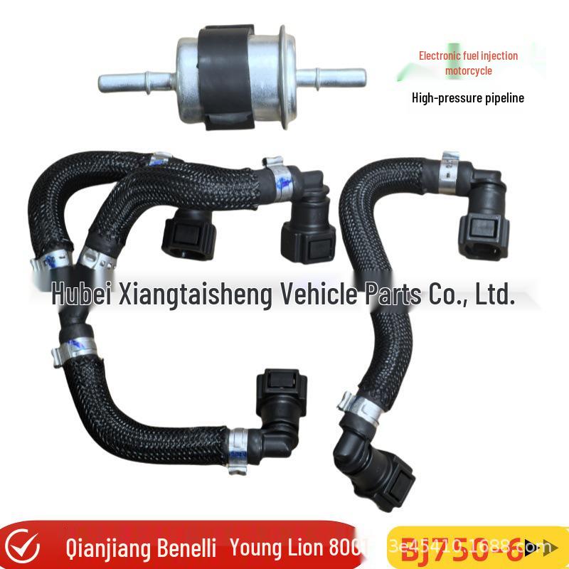 

Qianjiang Benelli Leoncino 800 High-Pressure Oil Pipe & Fuel Filter Assembly