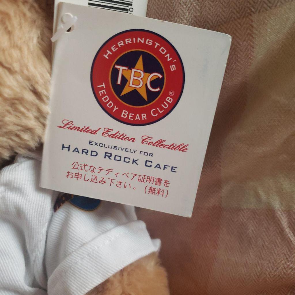 [USED] HARD ROCK CAFE Teddy Bear