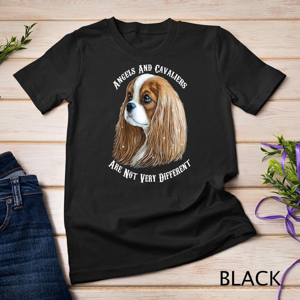 

Cavalier King Charles Spaniel Blenheim Unisex T-shirt 4XL