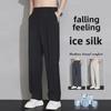 2024 Sommer Herren Eisseide Anti-Falten Gerade Hose: Lässig & Bügelfrei