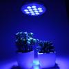 36W E27 LED Blue Light Grow Bulb for Indoor Succulents and Seedlings