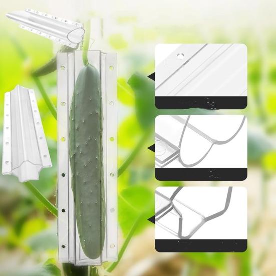 Cucumber Shaping Mold Reusable Transparent Plastic Garden Vegetable Growing Molds Easy-to-use Vegetable Cultivation Mold for Cucumber Tomato Carrot
