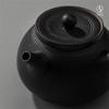 Edenus Chinese Ceramic Tea Set with Black Iron Glaze