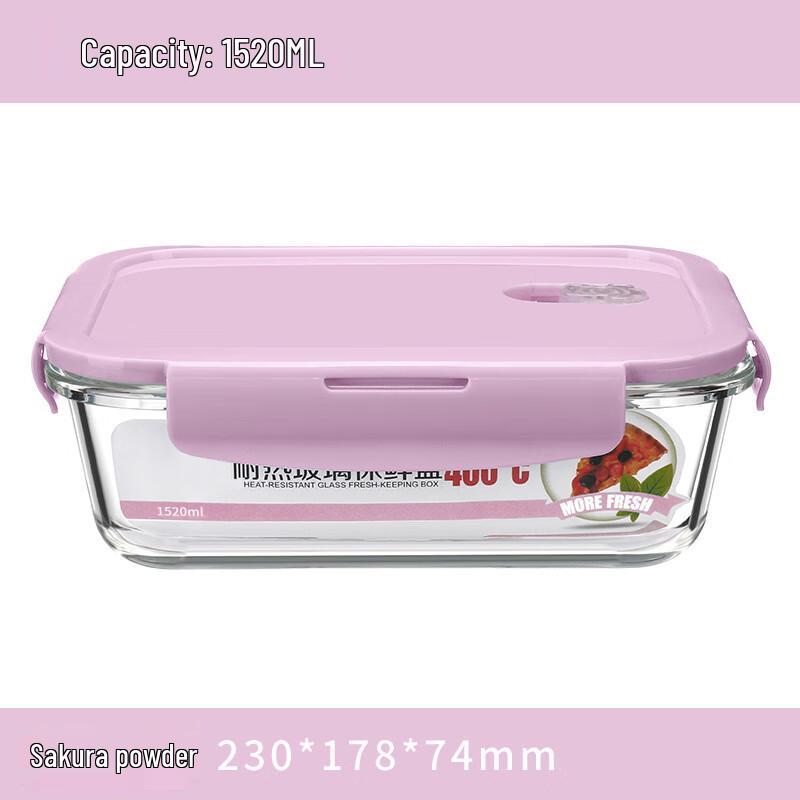 EWIGER STERN Microwaveable High Borosilicate Glass Lunch Box