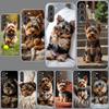 Yorkshire Terrier Hund Handyhülle für Samsung A54 A14 A24 A34 A17 A37 A57 A55 A35 A25 A15 A13 A23 A33 A53 A07 A05S A04S A03 A73 G