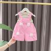 New Summer Baby Clothes Set Children Boys Striped Short Sleeve T-Shirt Overalls 2Pcs/Sets Toddler Girls Clothing Kids Tracksuits