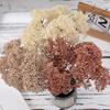 6 Bundles Artificial Aglaia Odorata Branch Realistic Fake Fruits Berries Stem for Home Office Indoor Flower Arrangement Wedding Party Centerpiece