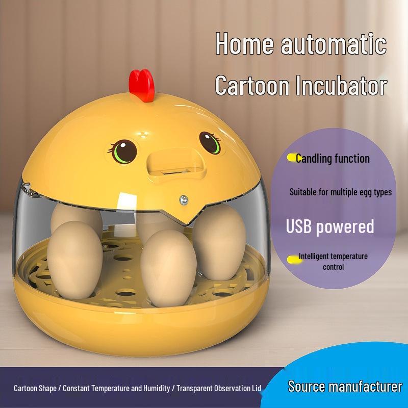 Automatic Mini Egg Incubator for Kids - Ideal for Quail, Chick, and Bird Eggs