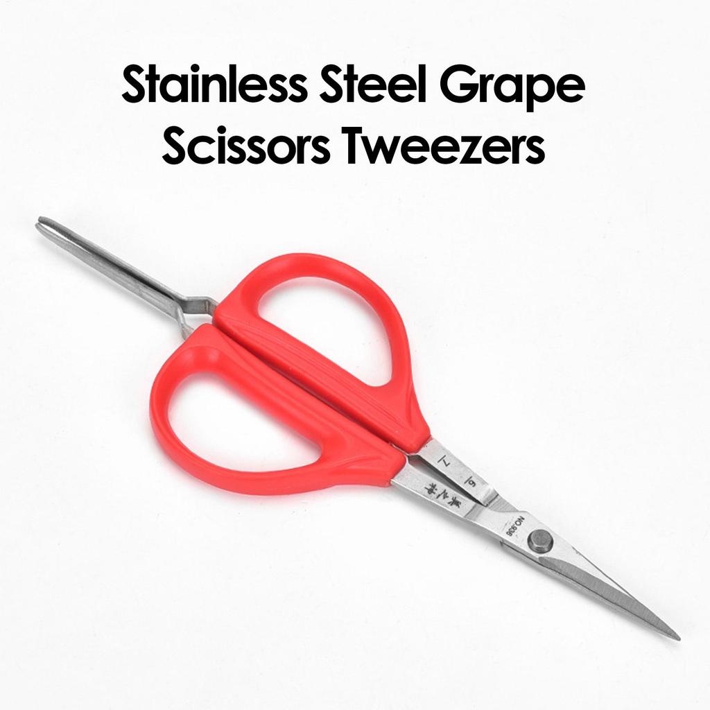 Grape Scissors Pruning Shears W/ Tweezers Garden Tool Vegetable Patch Bonsai Professional Joinery Stainless Steel Fruit Picking