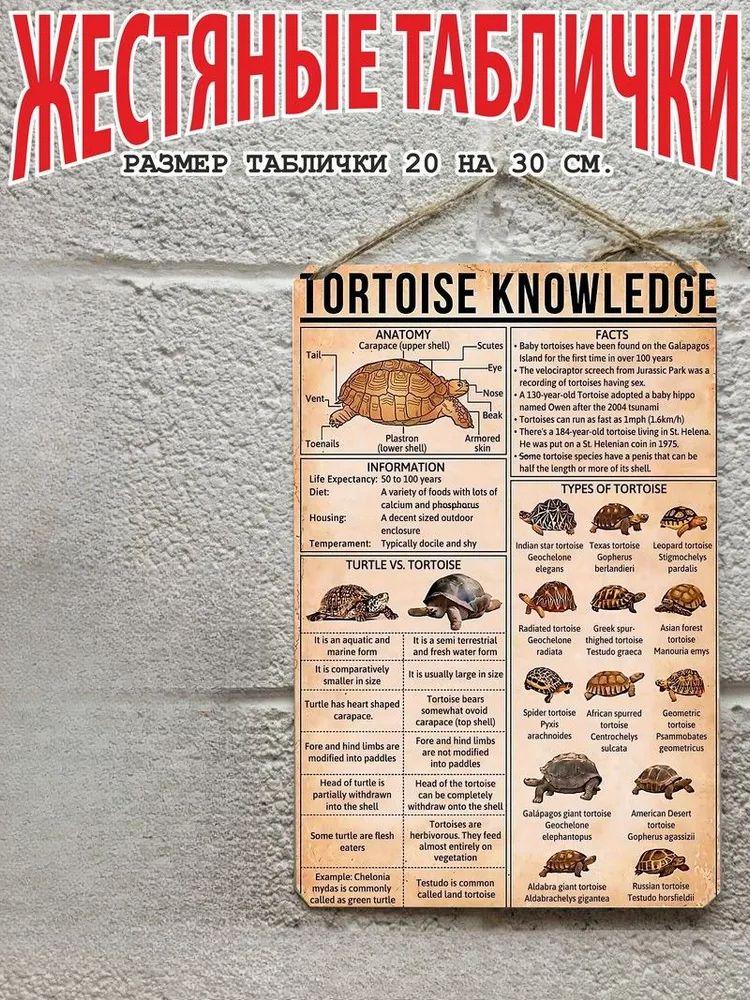 

Bulldog Anatomy Metal Poster 20x30cm, Vintage Veterinary Wall Art Gift