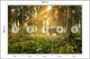 Photomural Deer In The Forest In The Morning Structural Vinyl 460x300