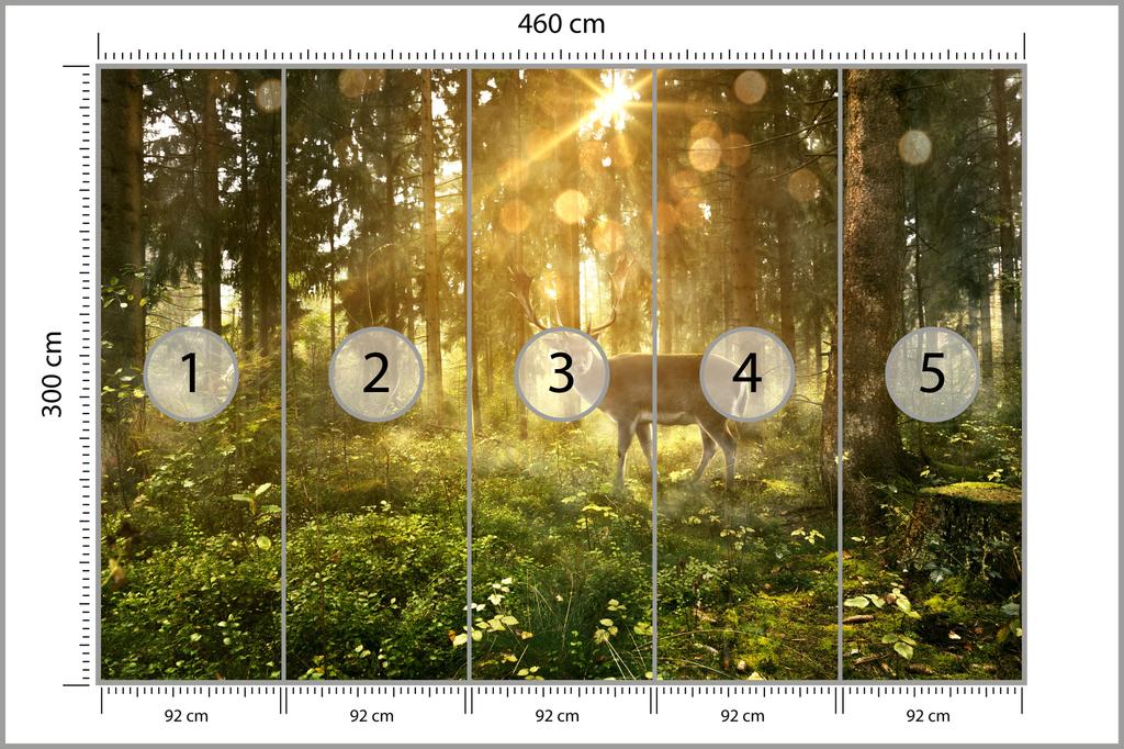 Photomural Deer In The Forest In The Morning Structural Vinyl 460x300