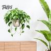 Easy Peel And Stick Home Decor Watercolor Potted Plant Wall Stickers, PVC Waterproof Hanging Pothos/Daisy Decals, Removable Green Leaf Stickers