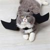 Cute Demon Cat Vest Bat Wings Cat Wings Pet Clothes Halloween Decorations Cat Costume