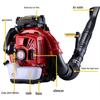 Gasoline Backpack Blower CN plug (adapter included)