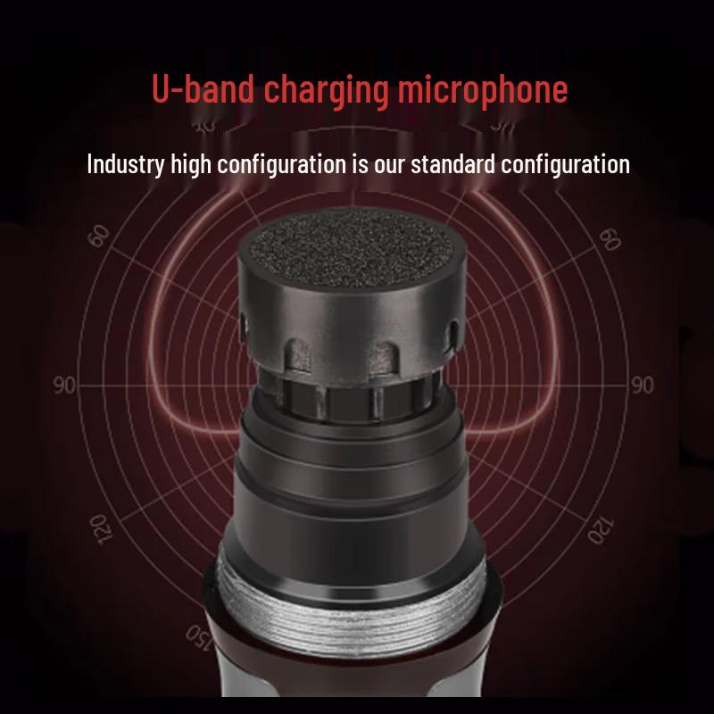 SANSUI E2S Portable Outdoor Karaoke Speaker with Display CN Plug (adapter Included)