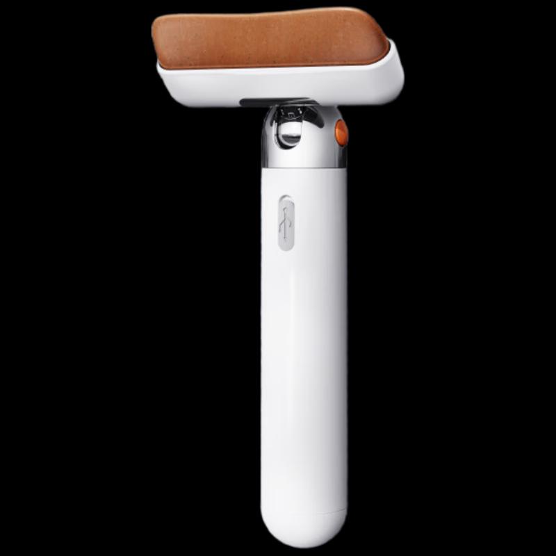 Bianstone Meridian Scraping Massager