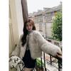 Fur Jacket Women's Autumn and Winter Light New Imitation Fox Hair Slim and Thin Fur Coat