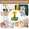 Kedi – Kedi Oyuncakları