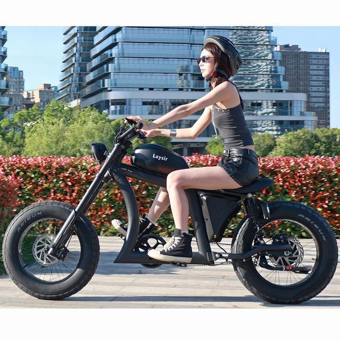 FT-02 20 Inch Electric Bike with Top Quality Bafang Motor