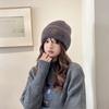Autumn and Winter Women's Hat Plush New Korean Knitted Hat Versatile Warm Ear Protection Thickened Fashionable Wool Hat Cold Hat