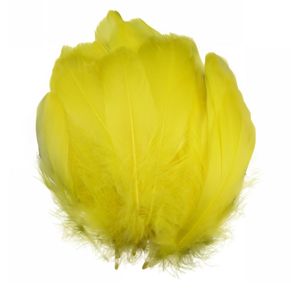 FeatherYellow Feathers for Crafts, 31 Styles Natural Pheasant, Rooster, Duck Feathers Bulk for Costume DIY, Fly Tying,Party Decoration