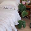 French Large Lace Cotton & Linen 4-Piece Set: Soft, Skin-Friendly Solid Color Bedding with Fitted Sheet